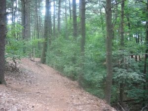  | Newton MA News and Politics Blog