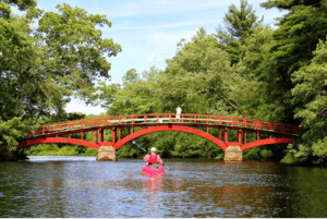 | Village 14 | Newton MA News and Politics Blog