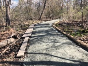 Spring 7 | Village 14 | Newton MA News and Politics Blog