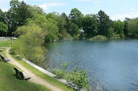 CrystalLake | Village 14 | Newton MA News and Politics Blog