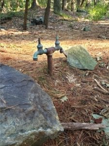 FaucetinWoods | Village 14 | Newton MA News and Politics Blog